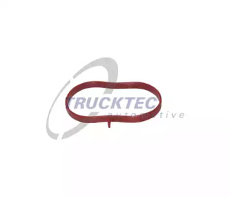TRUCKTEC AUTOMOTIVE 0216057 -  Прокладка, корпус впускного коллектора